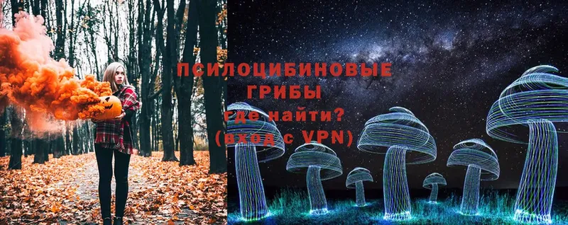 Псилоцибиновые грибы Psilocybe  закладка  Кировск 